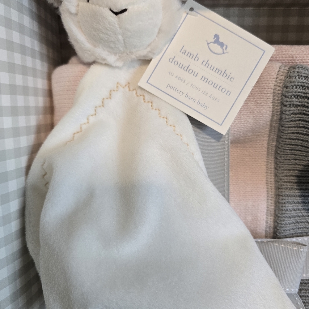 Pottery Barn kids baby girl shower gift 3 items + card tissue and gift box $140 - Picture 3 of 6